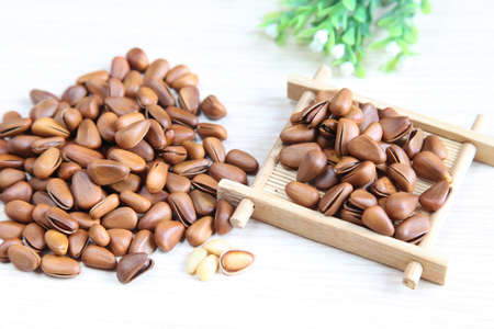 Pine nutsの写真素材