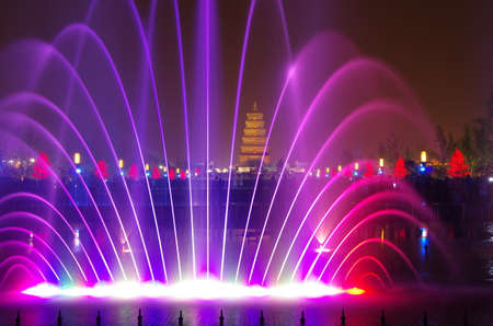 China xi\'an wild goose pagodaのeditorial素材