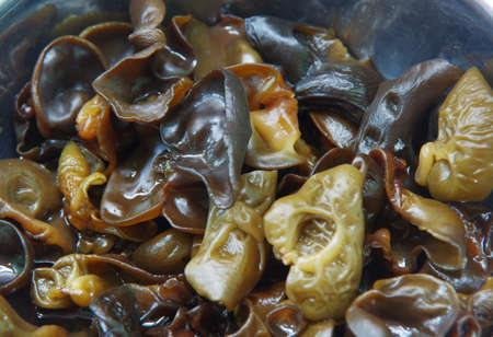 Black fungus