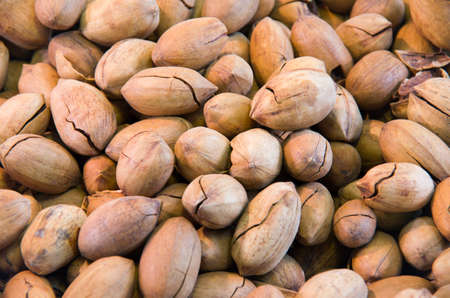 Walnuts Nuts