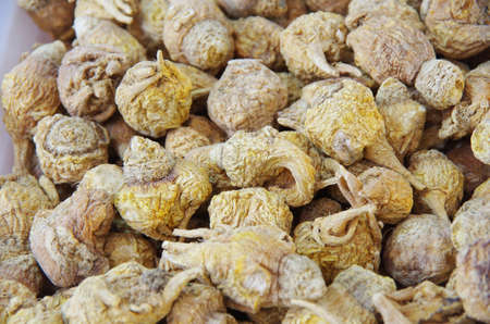 Manasseh cardの写真素材