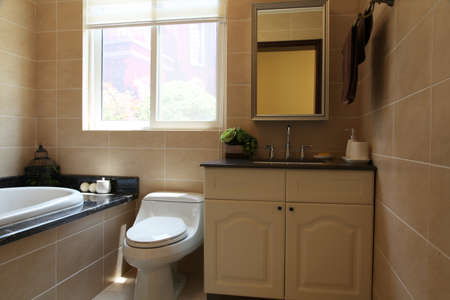Luxury bathroom decoration