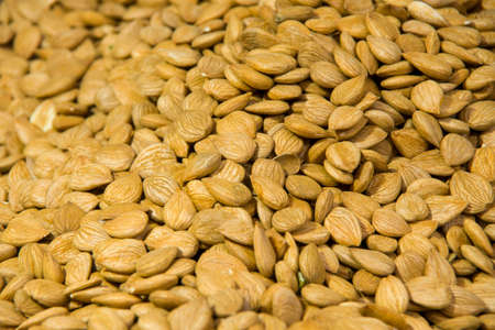 Close up view of almondの写真素材