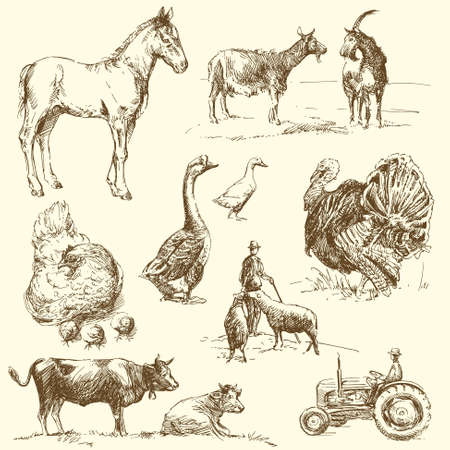 farm - hand drawn collectionのイラスト素材