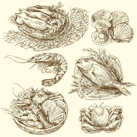 sea food, fish collectionのイラスト素材