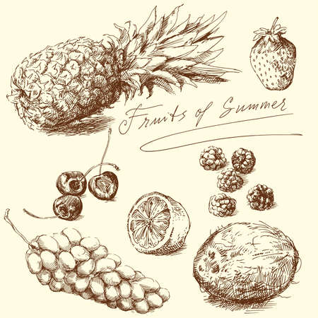 fruit - hand drawn collection, vector illustration のイラスト素材