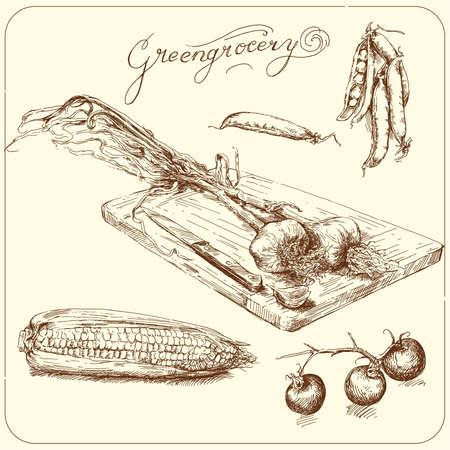 greengrocery - hand drawn vegetable のイラスト素材