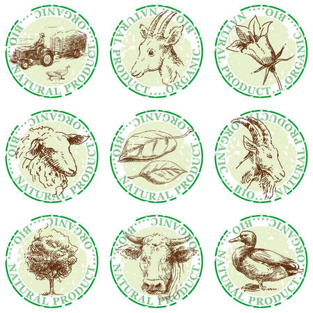 natural stamps-hand drawn labels のイラスト素材