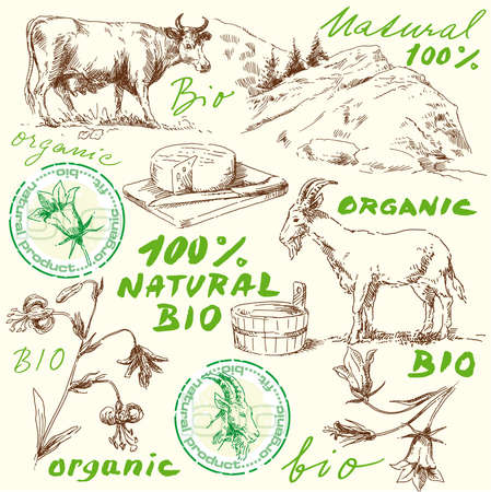 original hand drawn bio set のイラスト素材