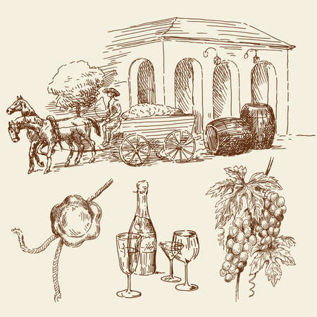 hand drawn wine collection のイラスト素材