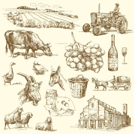 original hand drawn farm collection のイラスト素材