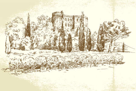 Vineyard France - hand drawn illustrationのイラスト素材
