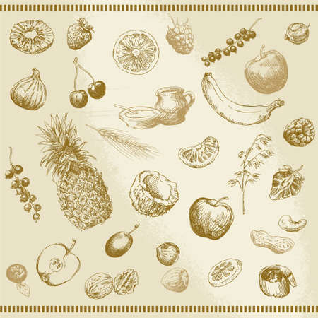 hand drawn fruit collectionのイラスト素材