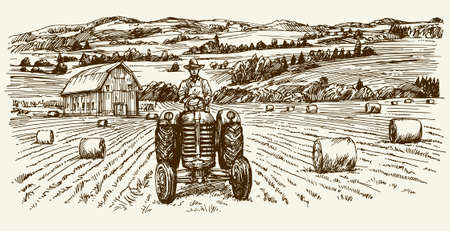 Tractor collecting haystack in the field. Hand drawn vector illustration.のイラスト素材