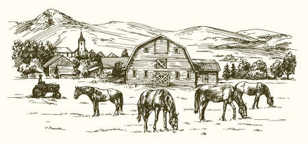 Horses grazing on meadow. Hand drawn illustration.のイラスト素材