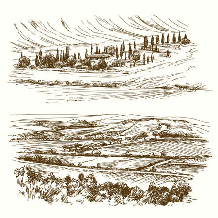 Vineyard. Agricultural landscape. Hand drawn collection.のイラスト素材