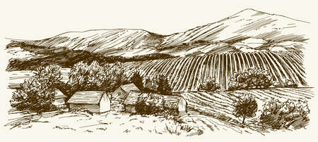 Wide view of vineyard. Vineyard landscape panorama. Hand drawn illustration.のイラスト素材