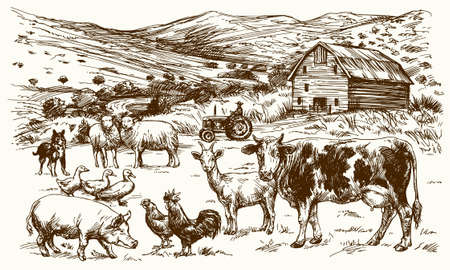 Farm animals. Hand drawn vector illustration.のイラスト素材