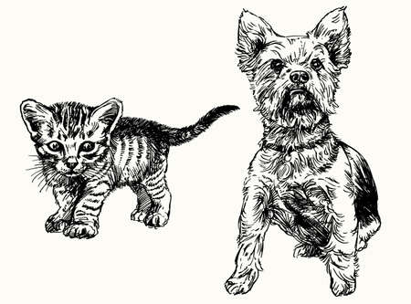 Hand drawn kitten and yorkshire terrier.のイラスト素材