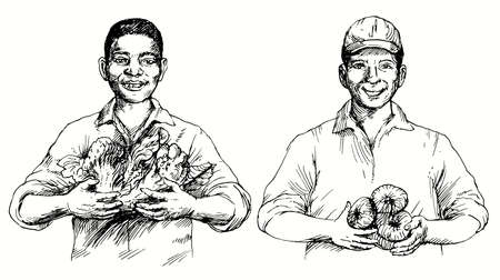 Couple of men picking vegetables. Hand drawn vector illustration.のイラスト素材