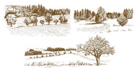 Rural landscape. Hand drawn set.のイラスト素材