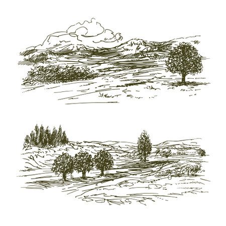 Rural landscape, meadows and trees.のイラスト素材