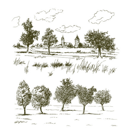 Rural landscape, meadows and trees.のイラスト素材