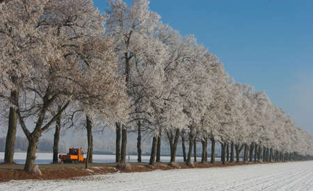 winter service truck in an hoarfrosted avenue on a cold and sunny dayの写真素材