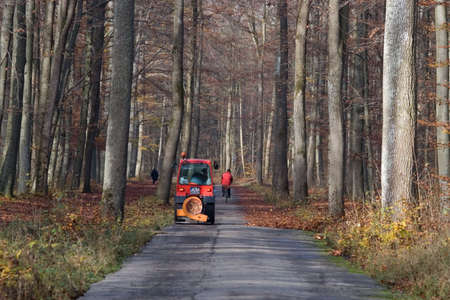 A tractor with a blower is cleaning the forest-trails and blows away the autumn leaves.の写真素材