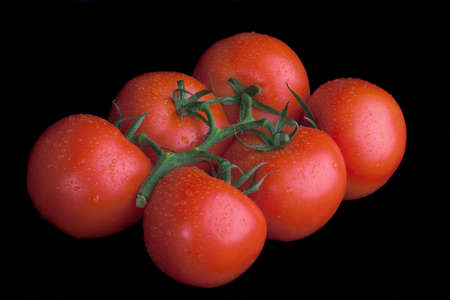 bunch of tomatoes, studio shot, isolatedの写真素材