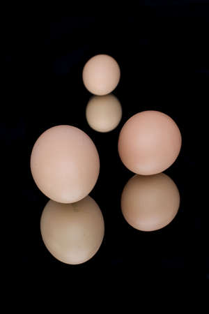chicken eggs, Studio shots, isolated on blackの写真素材