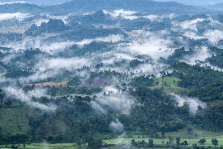 umphang province rainforest west of Thailandの写真素材