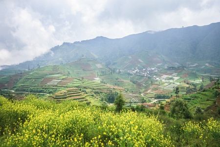 Dieng Plateau  in  Central Java, Indonesia