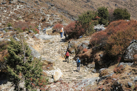 trekker from everest trek route in nepalのeditorial素材