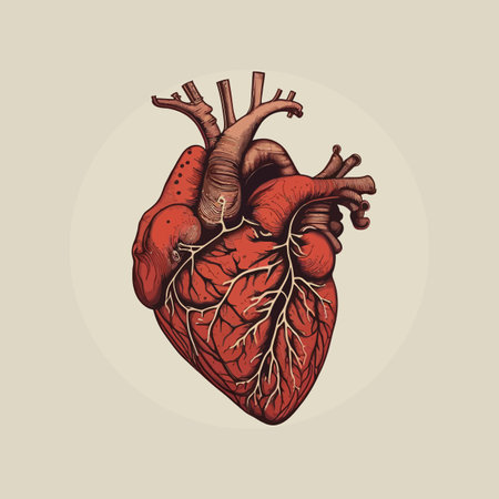 Human heart with veins and arteries. Vector illustration in vintage style.のイラスト素材