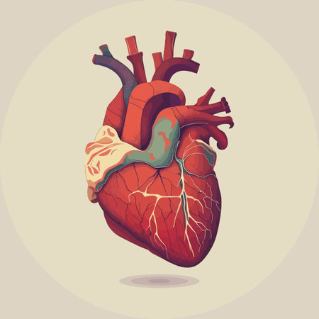 Human heart with veins and arteries. Vector illustration in vintage style.のイラスト素材