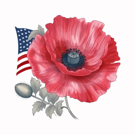 Beautiful watercolor illustration Poppy flower and American flag isolated on white backgroundのイラスト素材
