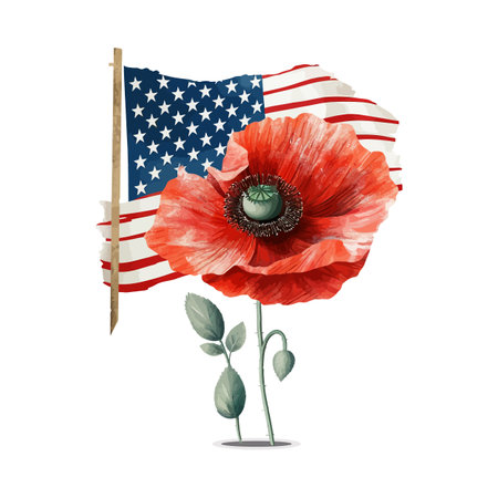 Beautiful watercolor illustration Poppy flower and American flag isolated on white backgroundのイラスト素材