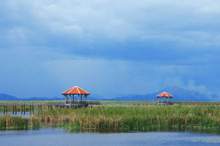 Pavilion in the middle of a pondの写真素材