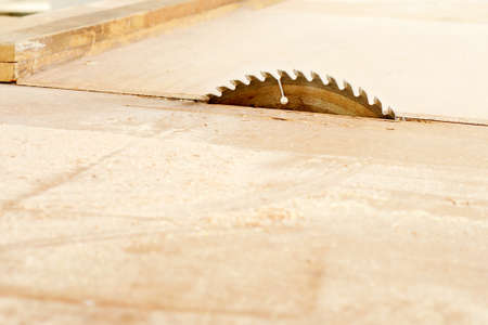 Circular saw machine cutting wooden