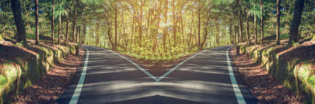 Beautiful autumn forest mountain path at sunset in vintage toneの写真素材