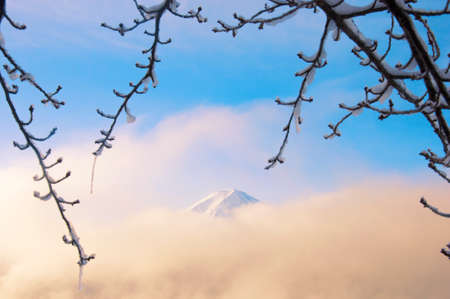 The peak of Fuji mountain with snow in winter season, Japanの写真素材
