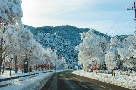 Scenic winter view from road in the mountains covered with snow and trees on the side of the road on a background of blue sky and cloudsの写真素材