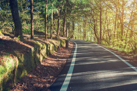 Beautiful autumn forest mountain path at sunset in vintage toneの写真素材