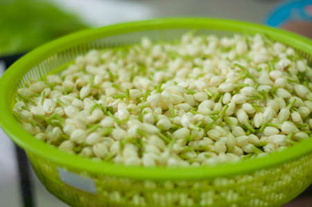 Indian jasmin flower in green basketの写真素材