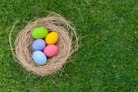 Easter eggs in nest on grass backgroundの写真素材
