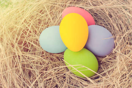 Easter eggs in the nestの写真素材