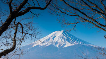 Mount Fuji with tree and blue sky , Japanの写真素材