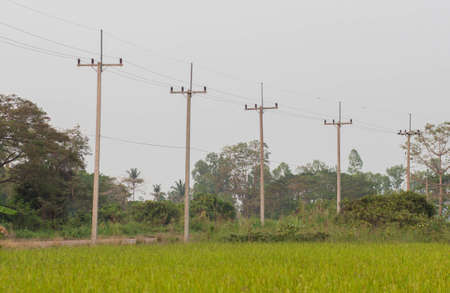 Electric poles and wires arranged side and link the fields green の写真素材