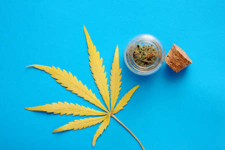 Medicinal cannabis leaf with marijuana storage in organic bottle on bright blue background.の写真素材